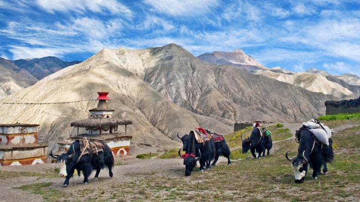 Upper Dolpo Trekking Nepal